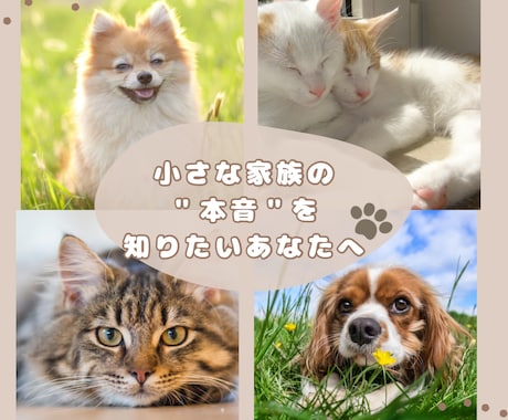 今そばにいる小さな家族の“心の声”読み解きます 【言葉を持たない家族の本音を、“波動”と“心”で紐解きます】 イメージ1
