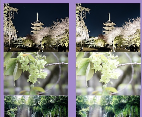 写真のレタッチ加工承ります こんな写真にしたいな、、それを叶えます。 イメージ2