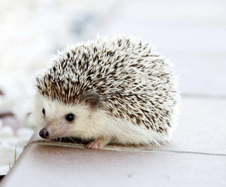 秘密厳守＊ネイティブがメッセージの英⇄日翻訳します 丁寧・正確・自然・迅速な格安翻訳！海外サイトでの実績も多数☆ イメージ1