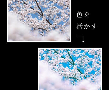 Photoshopでレタッチ・画像加工します Webサイトやチラシなどに使う写真をもっと魅力的に◎ イメージ2