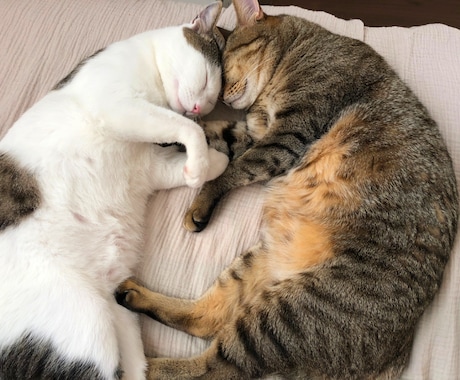 5分OK✨モヤモヤを手放すお手伝いいたします 今すぐ話したい❗体と心の痛み・不調に寄り添うセラピスト イメージ2