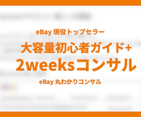 ebay 初心者向け 2週間みっちりコンサルします 大容量スタートアップガイド＋ショップ立ち上げサポート付き イメージ1
