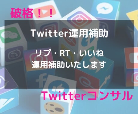 破格！プロがあなたのTwitter運用を補助します 忙しいあなたへ。アカウントを効率的に補助し認知をあげます。 イメージ1