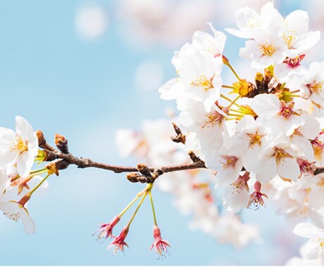 1分でも！些細な悩みでもOKです！お悩み占います これからの未来をどのように過ごすのが幸せへの道か導きます。 イメージ1