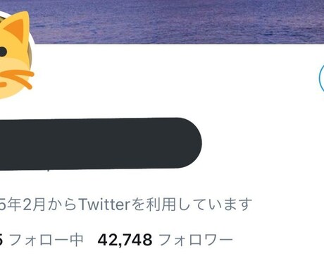 ツイッタ―日本人4.3万人に拡散します ちゃんとしたアカウントになります。 イメージ1