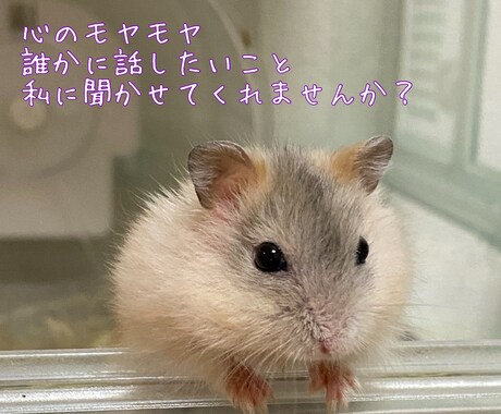 世界一お気軽なタロット占いさせていただきます 世界一気軽な占い体験してみませんか？【1分からOK】 イメージ1