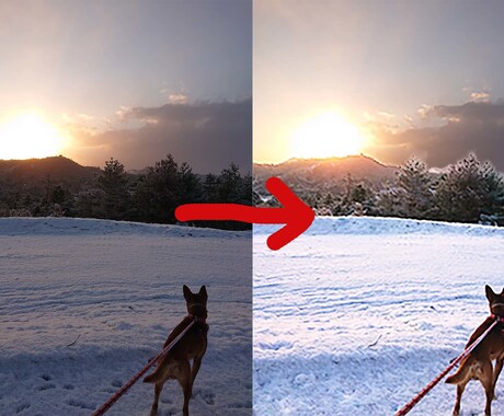 写真合成、編集、加工いたします フォトショップを使用して写真を加工します イメージ2