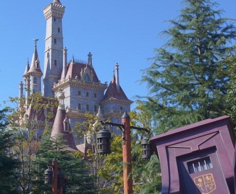 あなたに合わせたディズニーランドのプラン作成します 年パス・一眼レフ歴 共に7年以上の私が穴場スポットも紹介！ イメージ1