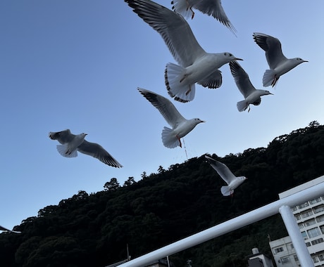 記事作成全般お任せください。宜しくお願いします ライターとして自分の知識経験を生かして、尽力いたします。 イメージ1