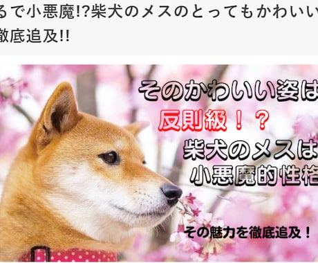 わかりやすく、読みやすいライティングします 「SEO × 読みやすさ」に特化したライティングいたします。 イメージ1
