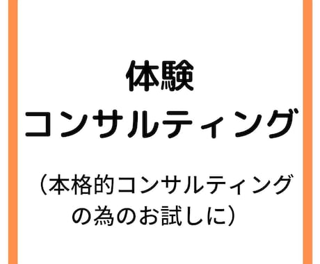 体験コンサルティングを提供します いきなり本格的なコンサルティングに入る前に体験した方へ イメージ1