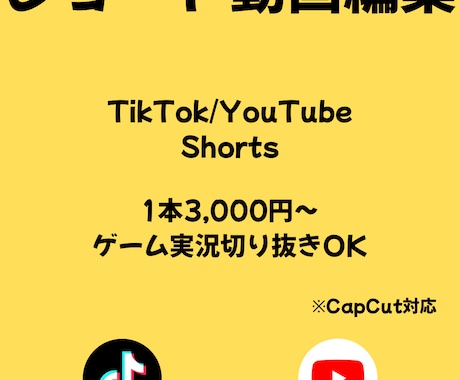TikTok・YouTubeショート動画編集します テンポの良いショート動画編集・テロップ対応 イメージ1
