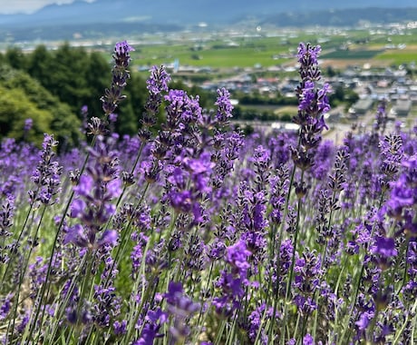 ７月迄お試し価格★北海道観光★１週間チャットします 広すぎる北海道をどうまわる？ドライブ狂いの北海道民が承ります イメージ1