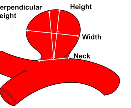 medical illustratorやります 広告・論文や学会発表用のイラスト作成します イメージ1