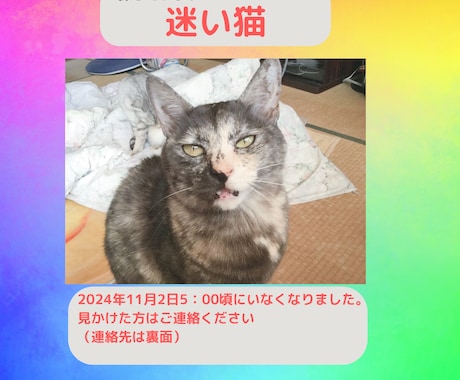 迷子猫探し用のデザインを制作します ポスターやSNS、ブログ掲載用画像など。コピー・文章にも対応 イメージ1