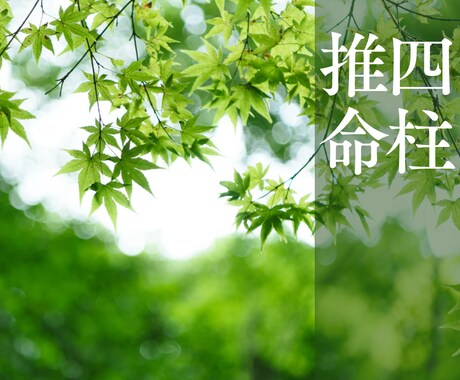 人生の取り扱い説明書をお渡し出来ます 貴方が短所と思ってる事を長所に変えてみませんか？ イメージ1
