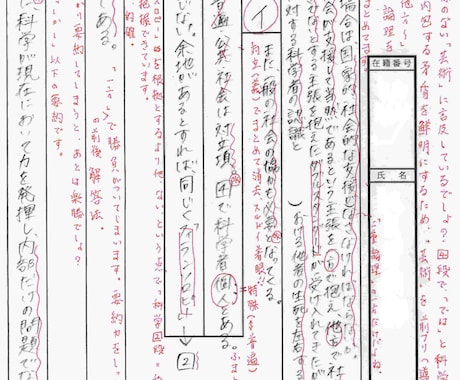 国公立大学二次試験 国語記述、小論文の対策します 国語、小論文のプロ講師が、あなただけの国公立二次対策します！ イメージ2