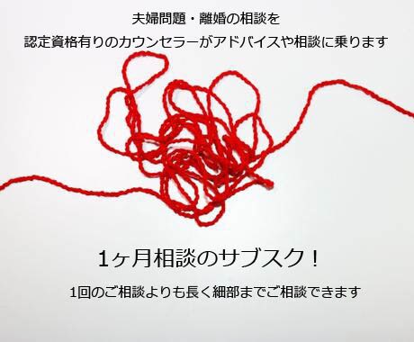 1ヶ月相談/離婚の悩みや相談アドバイスいたします 離婚経験有りの夫婦問題・離婚カウンセラー認定資格有り イメージ1