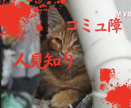元引きこもり女が人見知りとコミュ障の隠し方教えます 我こそはコミュ障という方☆対戦よろしくお願いします(^^) イメージ1