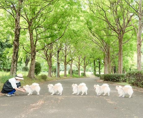 ワンちゃんアート付きペット撮影ます 愛犬との特別な瞬間を作品にします。 イメージ2