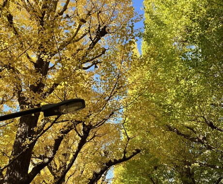 否定はしません。受け入れます 私はあなたの話を聞きたい。つまらない時間潰しにどうぞ。 イメージ1