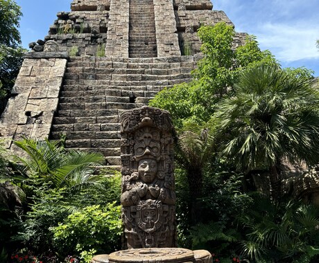 主にディズニーランド、シーの写真素材を提供致します イメージ1