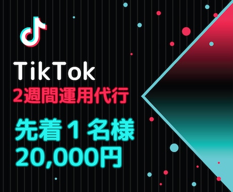 TikTokを2週間運用代行します 丸投げOK！Instagram等の他SNSとの並行運用可能！ イメージ1