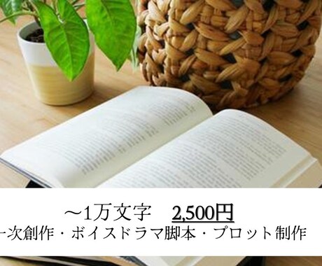 用途自由！格安でオリジナル小説執筆します 長編小説、脚本、台本、プロットなどどんな用途にも イメージ1