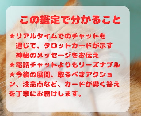 恋も仕事も即解決✨リアルタイムチャット占い致します 定期購入可★30分占い放題✨運命が変わる神託の時間 イメージ2