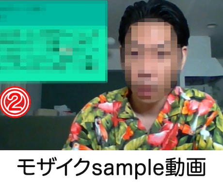 モザイク（顔・声・音）加工/ぼかし処理/承ります 当日納品も可能です！スピード納品が自慢！長い動画でも対応可能 イメージ2