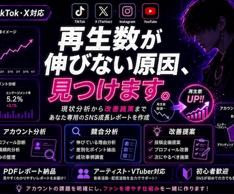 TikTok・XのSNS分析と改善提案を行います 再生数とフォロワーが伸びる改善策をご提案 イメージ1