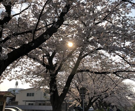 女性限定です。　　あなたの想い…ゆっくり聴きます なんでもOKです(^^)また男性との会話の練習にもどうぞ イメージ1