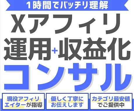 X(Twitter)の収益化方法をコンサルします 期間限定カテゴリ最安値！Xアフィリ収益化のコツを1時間伝授 イメージ1