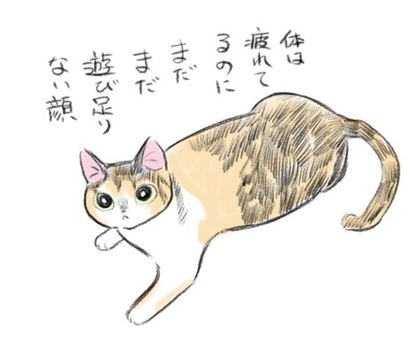 おうちの猫ちゃんのイラスト描きます /SNSや配信アプリのアバターなどの似顔絵アイコンを作成 イメージ2