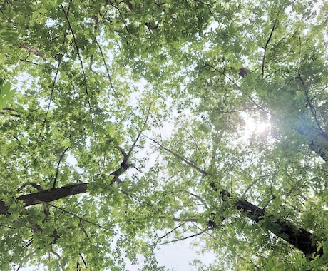 30分、あなたの話し相手になります スキマ時間にちょこっと話しませんか？ イメージ2