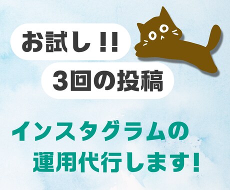 お試し3回投稿！インスタグラムの運用代行します 商品の魅力を伝えて集客UP！インスタグラム運用！リールもOK イメージ1