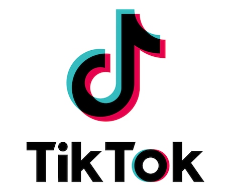 TikTokフォロワー＋1万人以上増やします ⭐️ティックトック複垢振り分け可能⭐️自然に増加可能です イメージ1