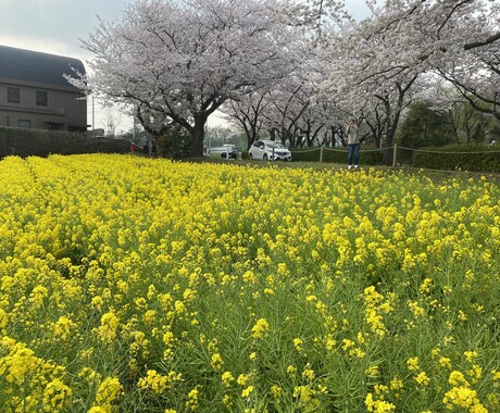 どんな話でも聞きます 小さなストレスから大きなストレスまで、溜め込まずに発散☆ イメージ1