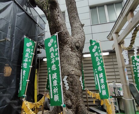 少彦名神社　 パワフルな癒しお届けします 薬、健康、癒しで名高い神社と言われています イメージ2