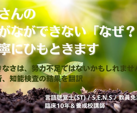 言葉と学びの専門家が学びのコツをお教えします 言語聴覚士・ST養成校現役講師・特別支援教育士が学び方を提案 イメージ1