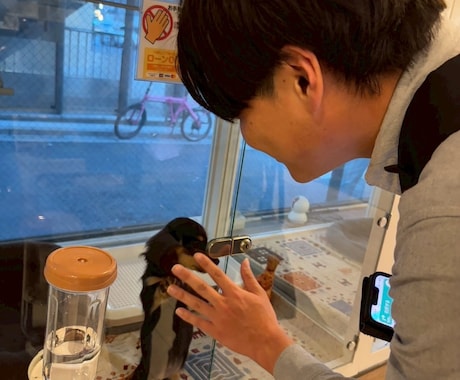 冷静だけど誠実なアドバイスをお届けします 恋のモヤモヤ、冷静×優しさで解決します イメージ2