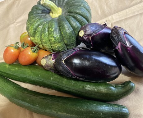 主治医から詳しい食事指導を受けられる方法を教えます より詳しい指導を受けられるようポイントのアドバイスをします。 イメージ1