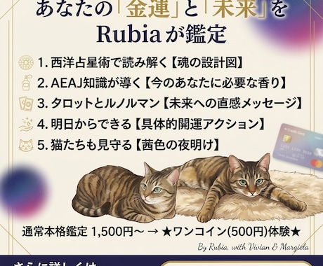 あなたの金運、 魂の設計図で読み解きます ​なぜかお金が貯まらない…そう悩んでいませんか？ イメージ2