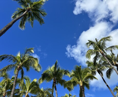 ロサンゼルス⭐︎移住•駐在•旅行のご相談お受します 30分〜、気軽にチャットで話しましょう イメージ1