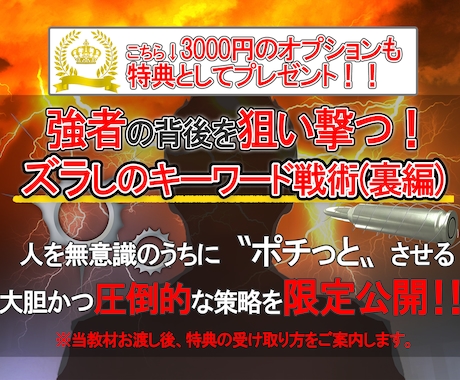 従来の1/10の作業で稼げた爆速アフィリ教えます アフィリエイト強者がいない中で唯一報酬を得る最後の手段 イメージ2