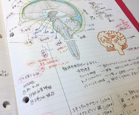 看護の勉強、実習の学習、国試対策アドバイスします 家庭と両立してNSになったインスタフォロワー1万人のNSです イメージ1