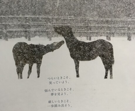 ピア・カウセリングとしてお手伝い致します 精神障がいで悩む者同士が前向きになれるような憩いの場所 イメージ1
