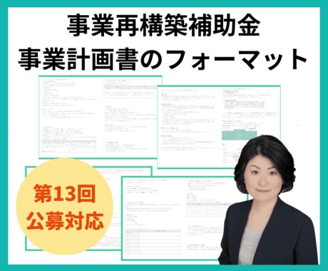 事業再構築補助金の事業計画書フォーマット提供します フォーマット紹介動画掲載中！200件超の申請現場で使用の一品 イメージ2
