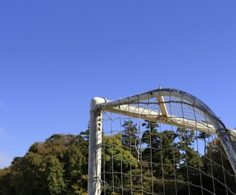 お子様のサッカーへの助言をさせていただきます 家トレ、公園での自主トレ状況に応じたメニューを企画します！！ イメージ1