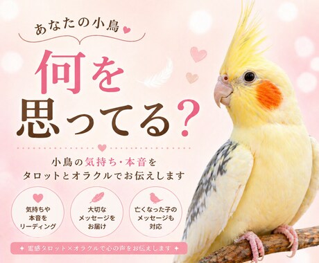 インコの気持ち、話したい事をお伝えします 小鳥たちの心の声を読み解く✨ヒーリング付き イメージ1